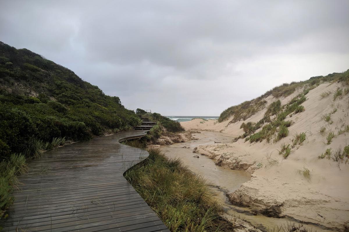 Beach access boardwalk at Conspicuous Beach