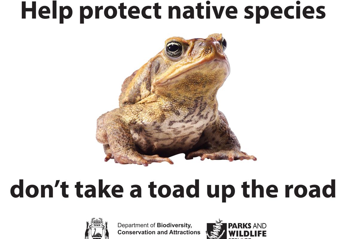 Poster with text and a picture of a toad. 