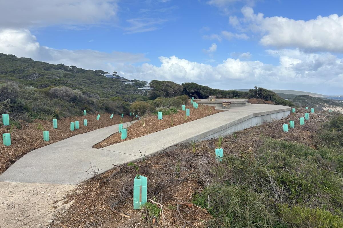 rabbit-hill-lookout-leeuwin-naturaliste-national-park-dbca6.jpeg
