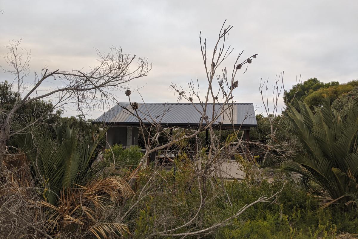 Picnic shelter at Yokinup Mia Mia Campground viewed through the bushes