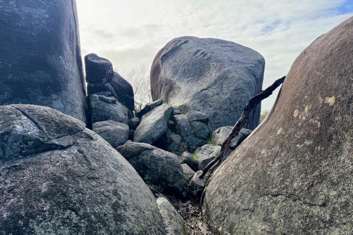 Rocks in Midgegooroo National Park Rocks in Midgegooroo National Park