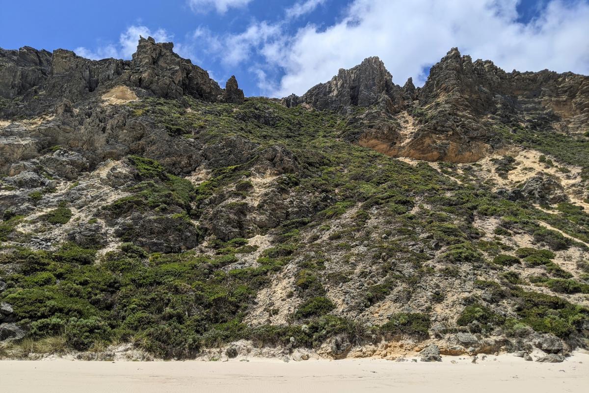 Limestone cliffs and sanddunes of Salmon Beach