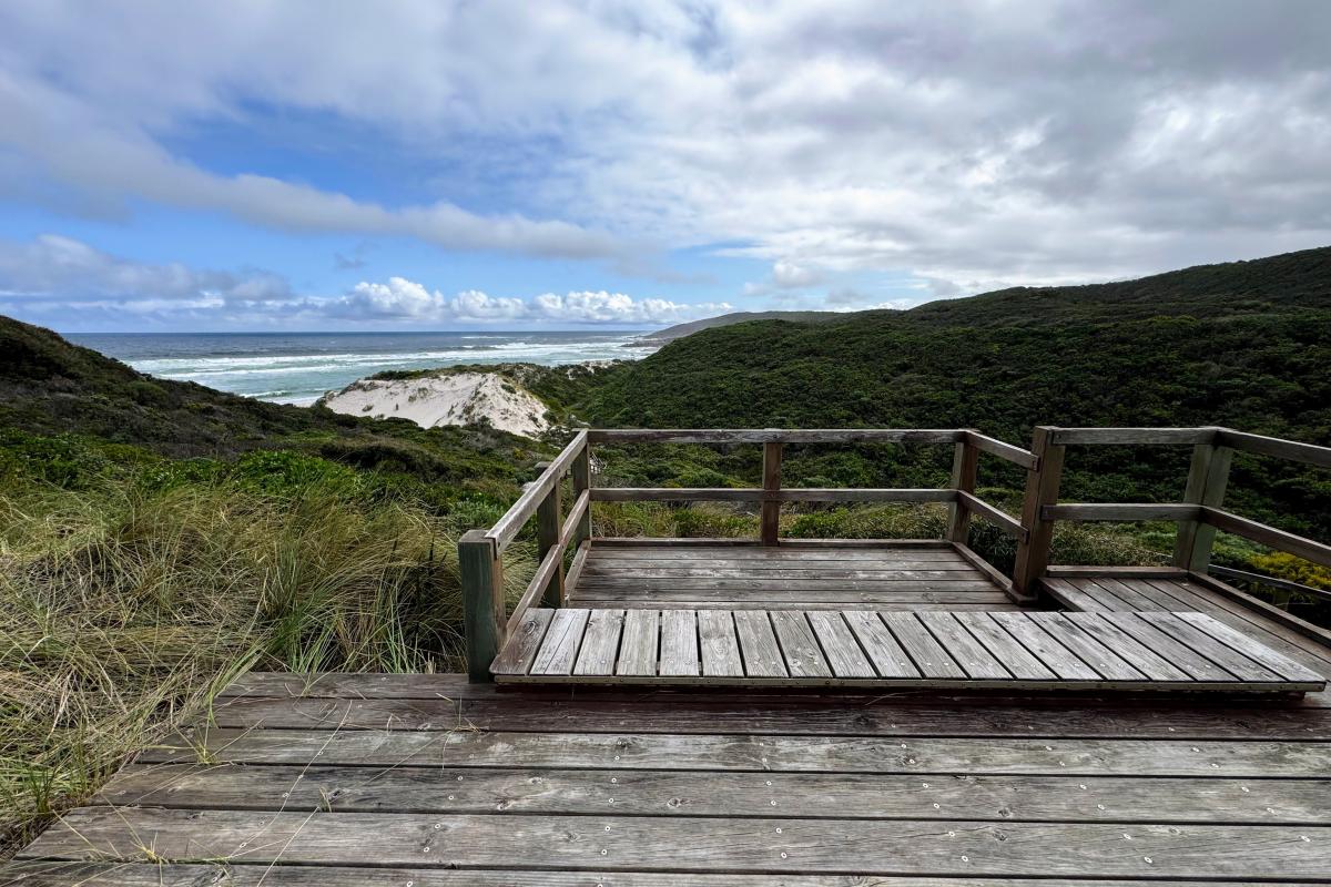 Conspicuous Beach lower lookout