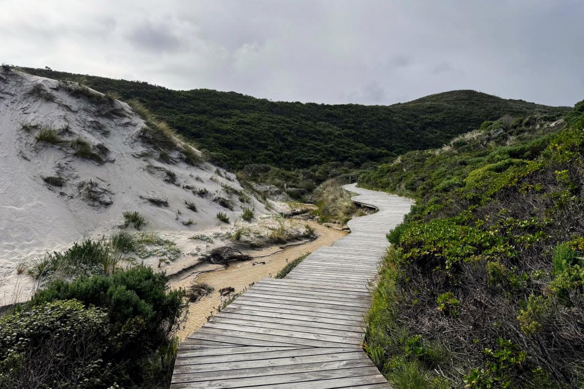 Beach access boardwalk at Conspicuous Cliff