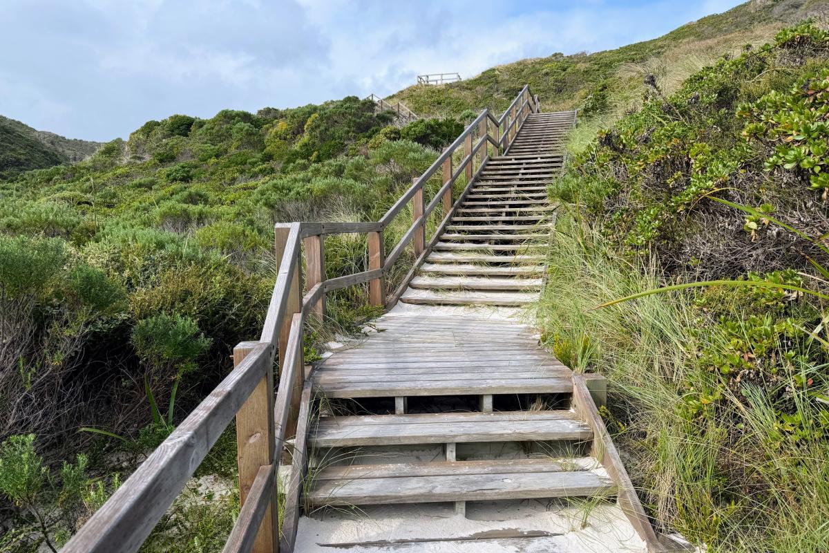 Conspicuous Beach access staircase