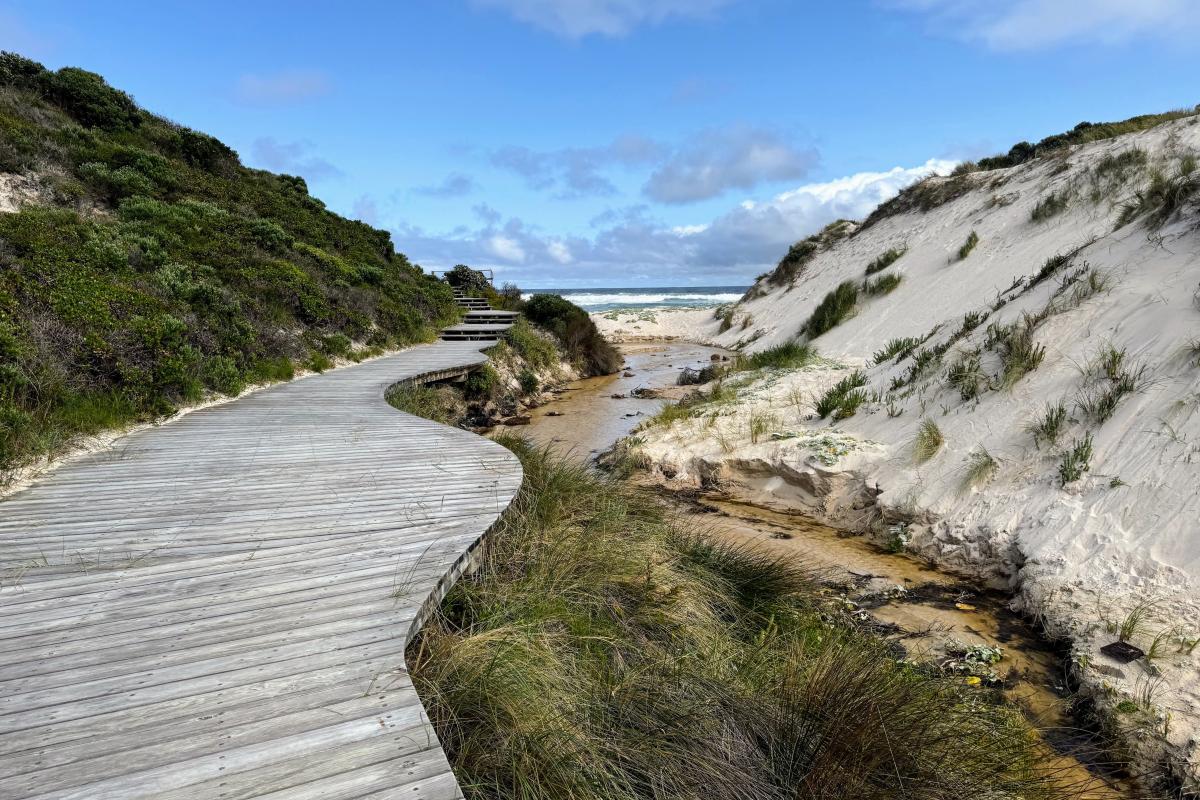 Conspicuous Cliff beach access boardwalk