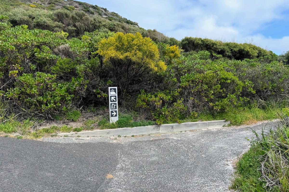 Lookouts access path at Conspicuous Cliff Lookouts access path at Conspicuous Cliff