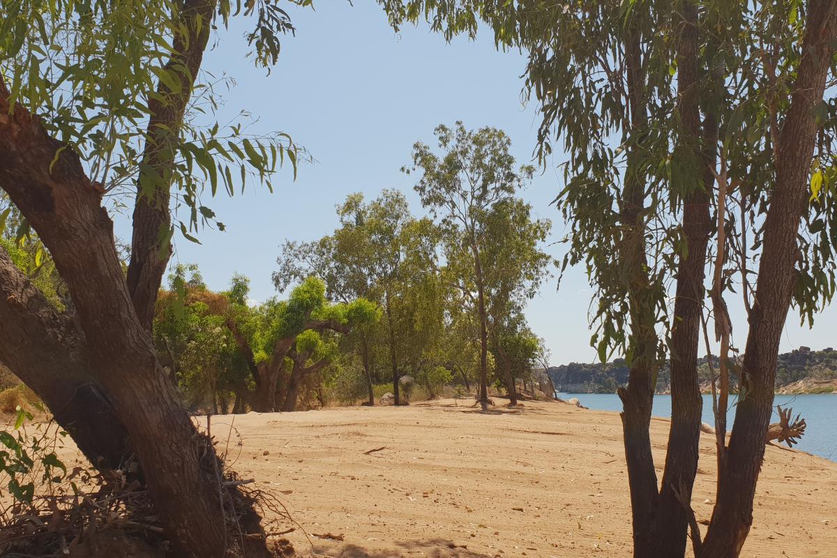 Views from the bank of the Fitzroy River