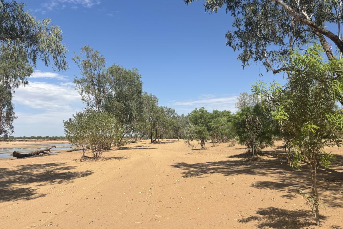 danggu-fitzroy-river-dbca-003.jpg The Fitzroy River reshaped by the floods