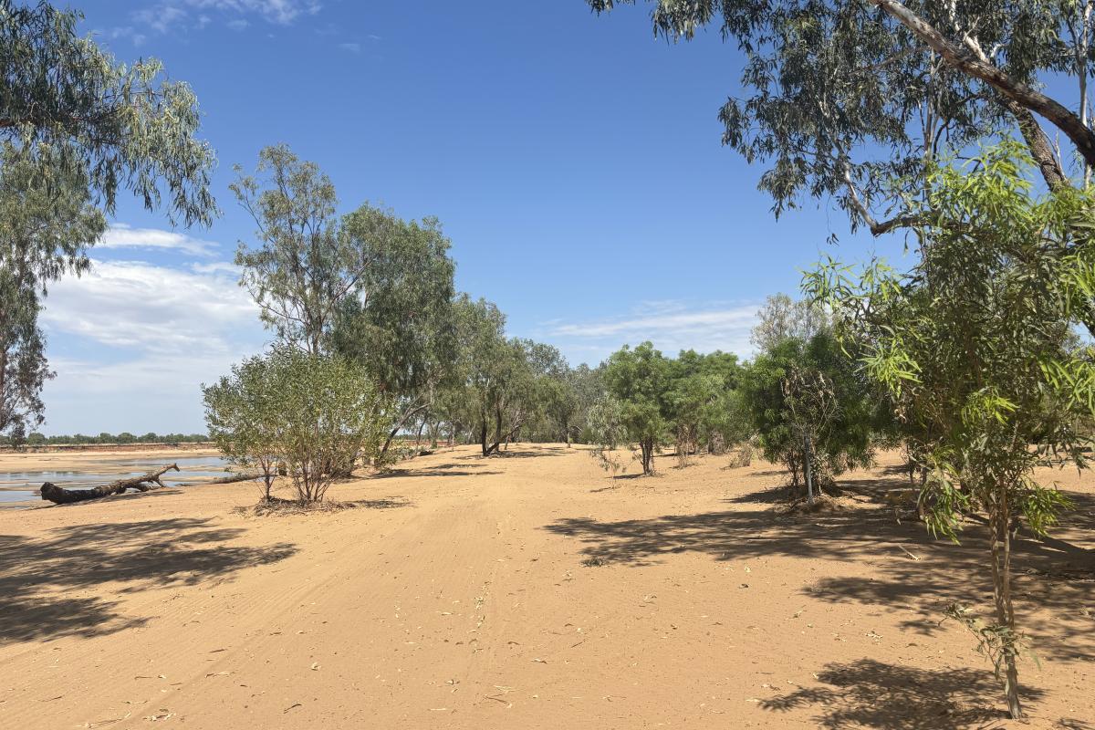 The Fitzroy River reshaped by the floods