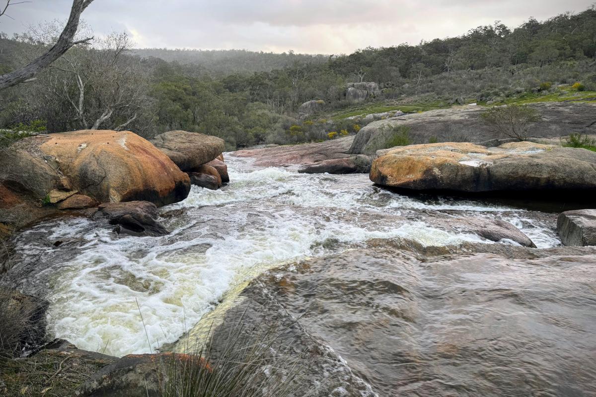 Hovea Falls