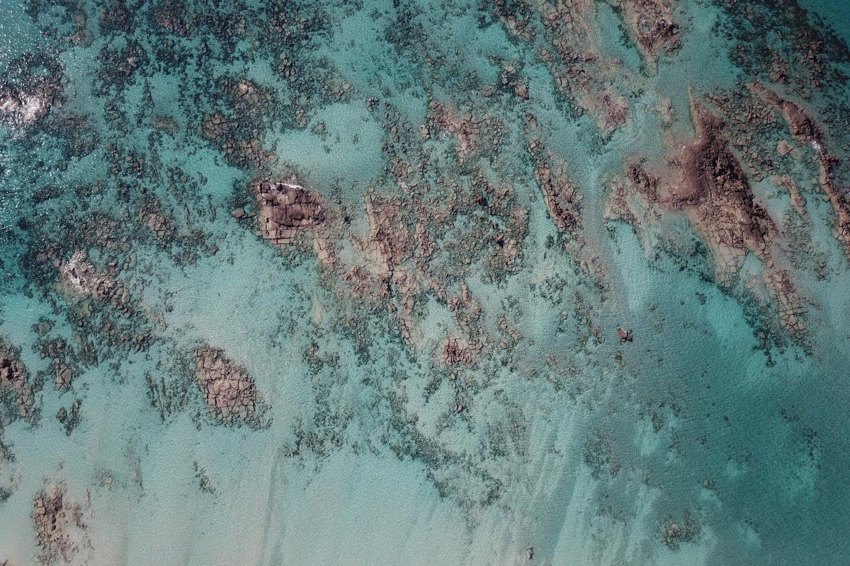 Aerial view of clear green ocean. 