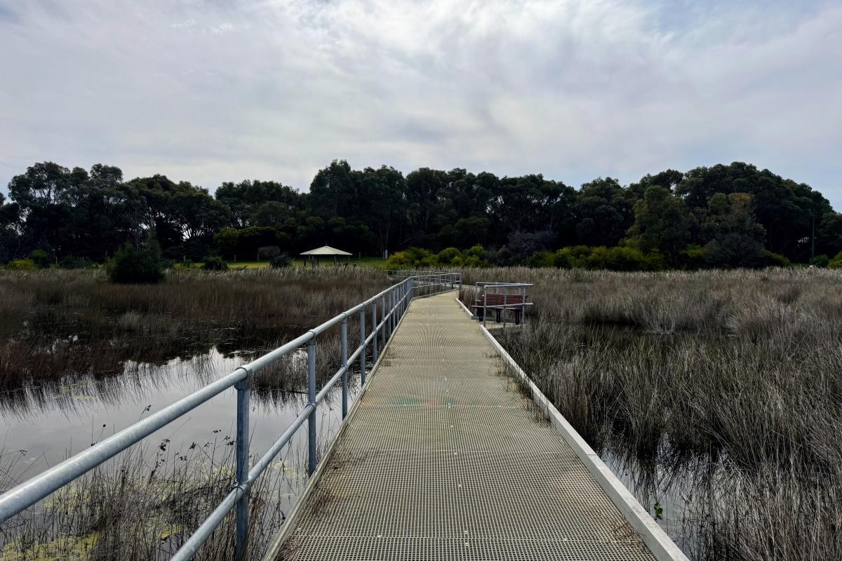 Lake Richmond boardwalk Lake Richmond boardwalk