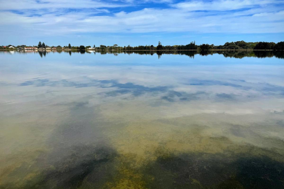 Reflections in Lake Richmond