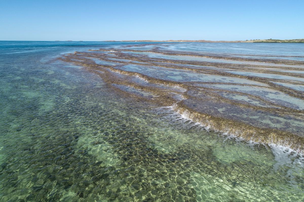 Reef underwater as the tide comes in. 