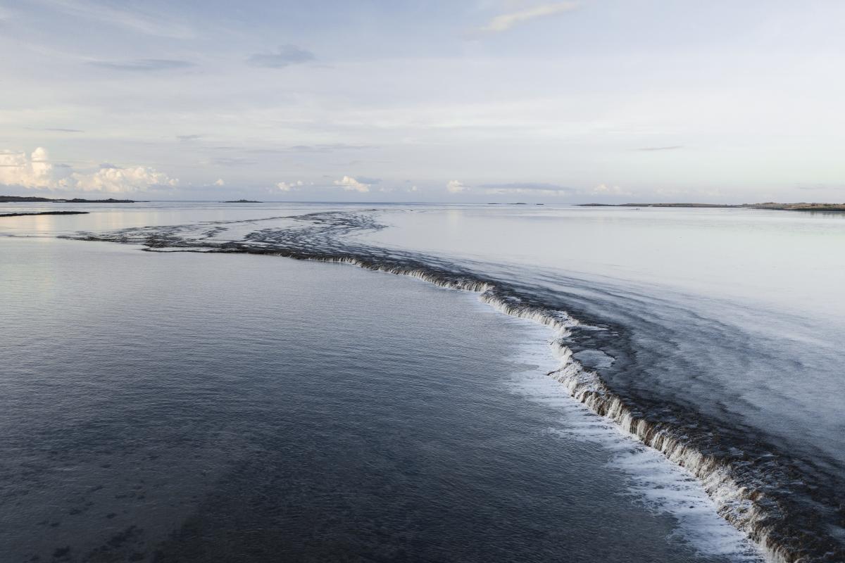 Close up of reef with water pouring off. 