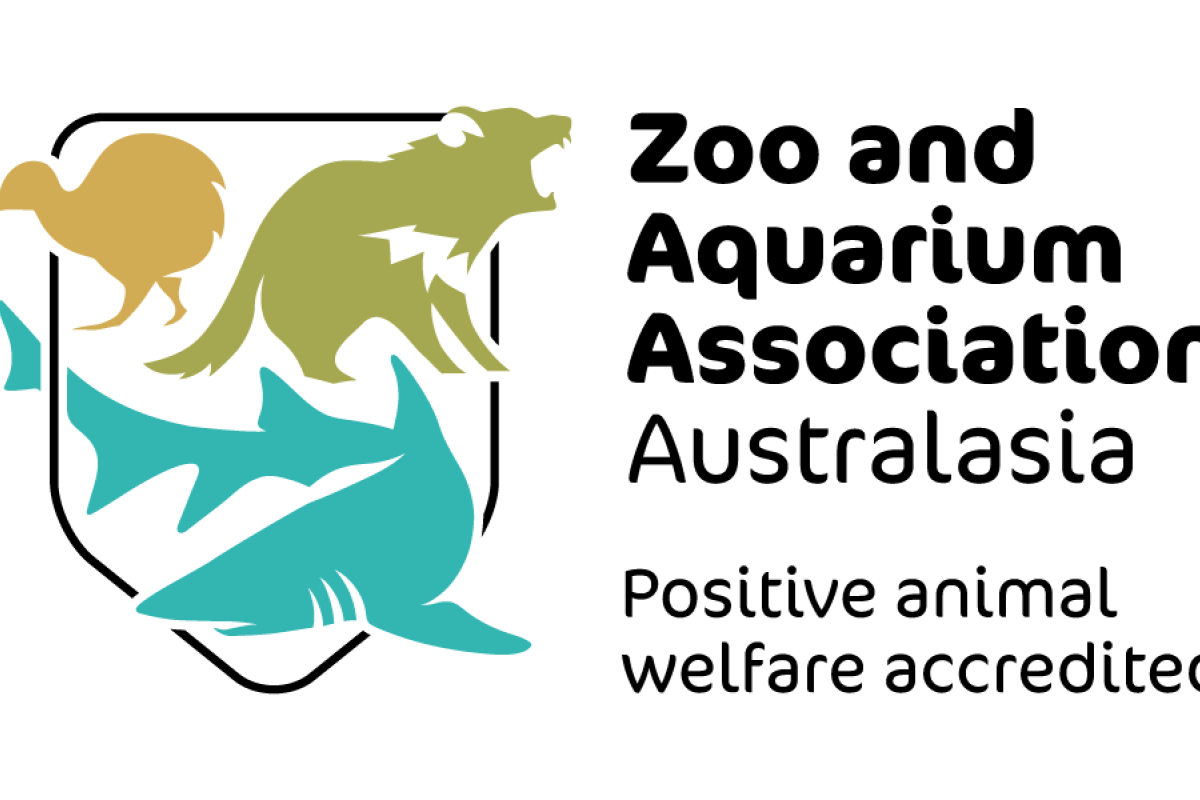 Zoo and Aquarium Association Australasia logo Zoo and Aquarium Association Australasia logo
