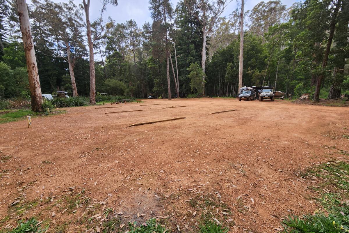 Big Brook Arboretum Open area for camping surrounded by trees.