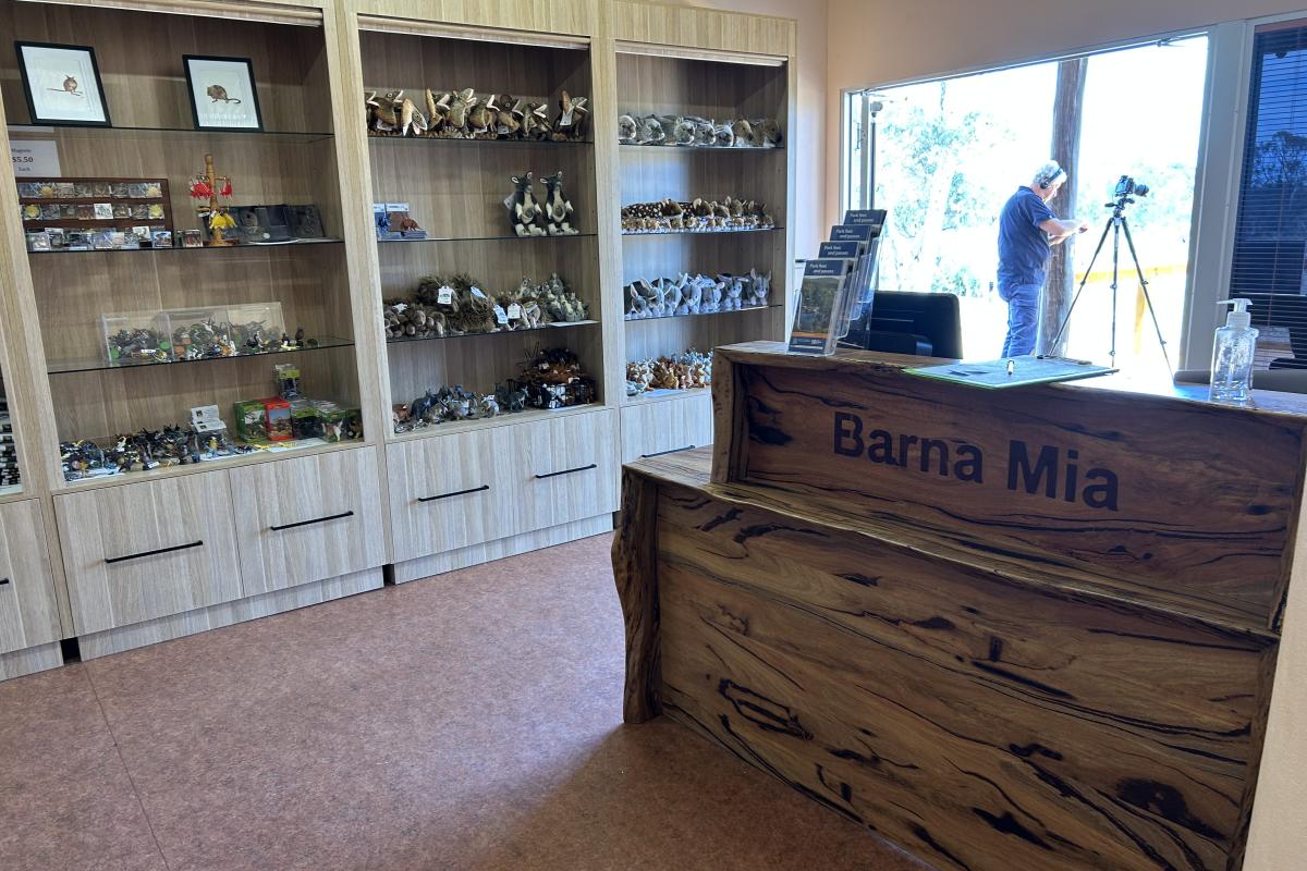 Shelves with product on display. 