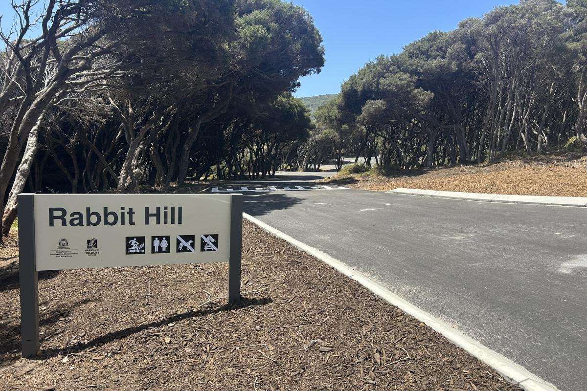 Road leading to parking area. 