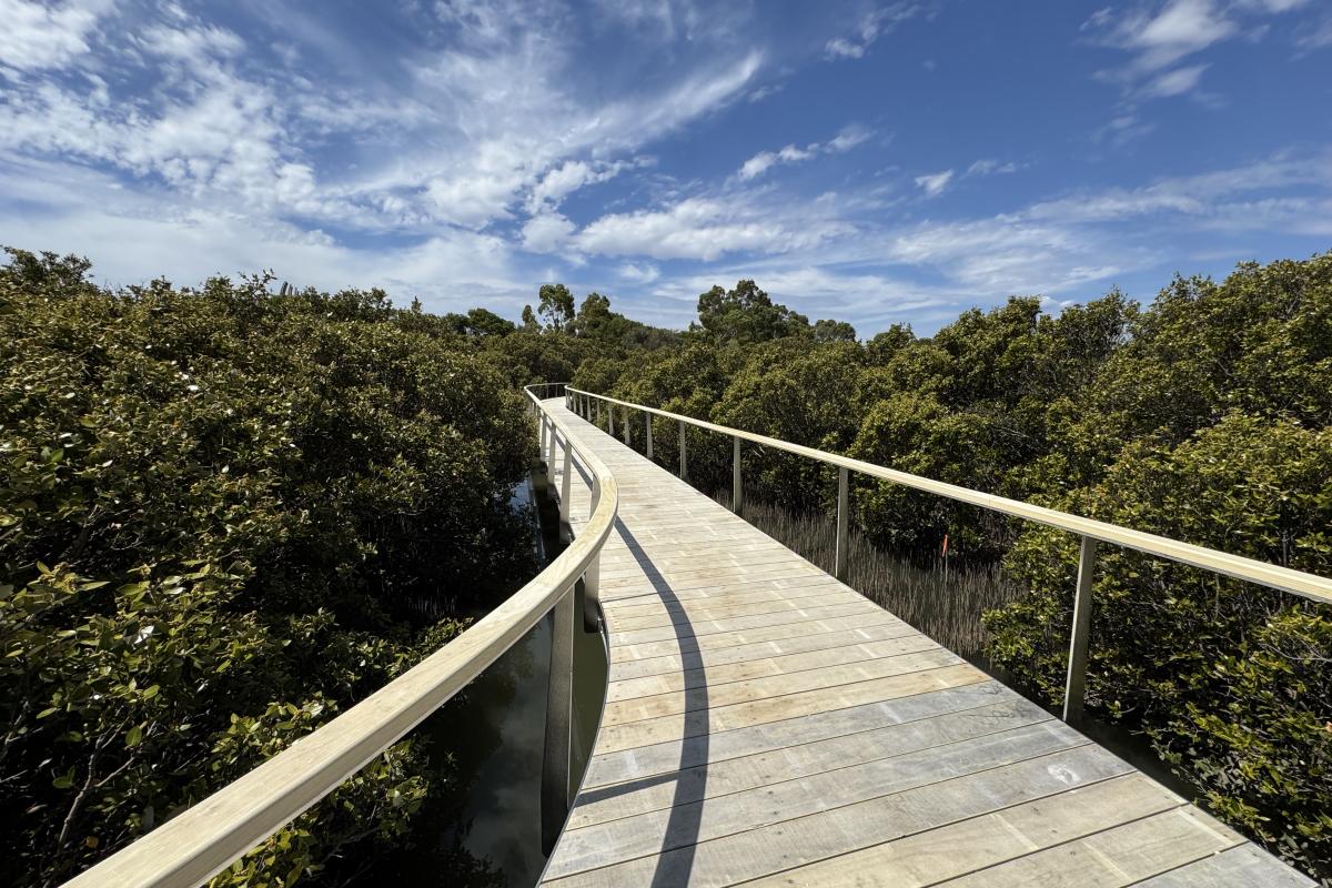 Boardwalk leading over wetland of shrubs and small trees. 