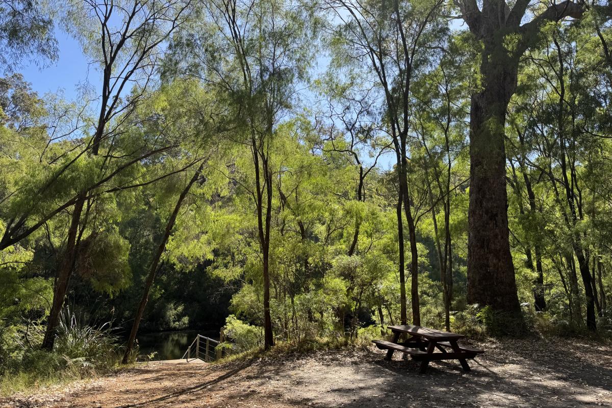 Picnic table by the river at Maiden Bush