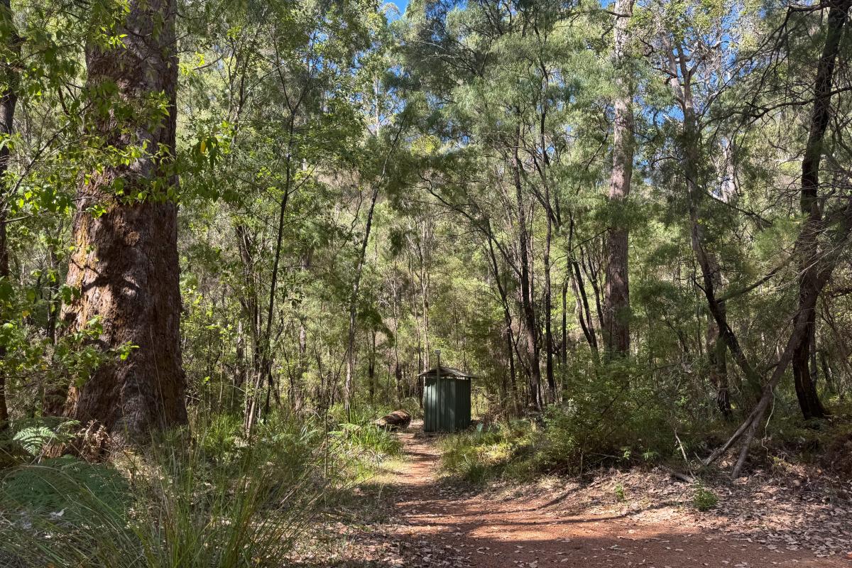 Toilet at Maiden Bush