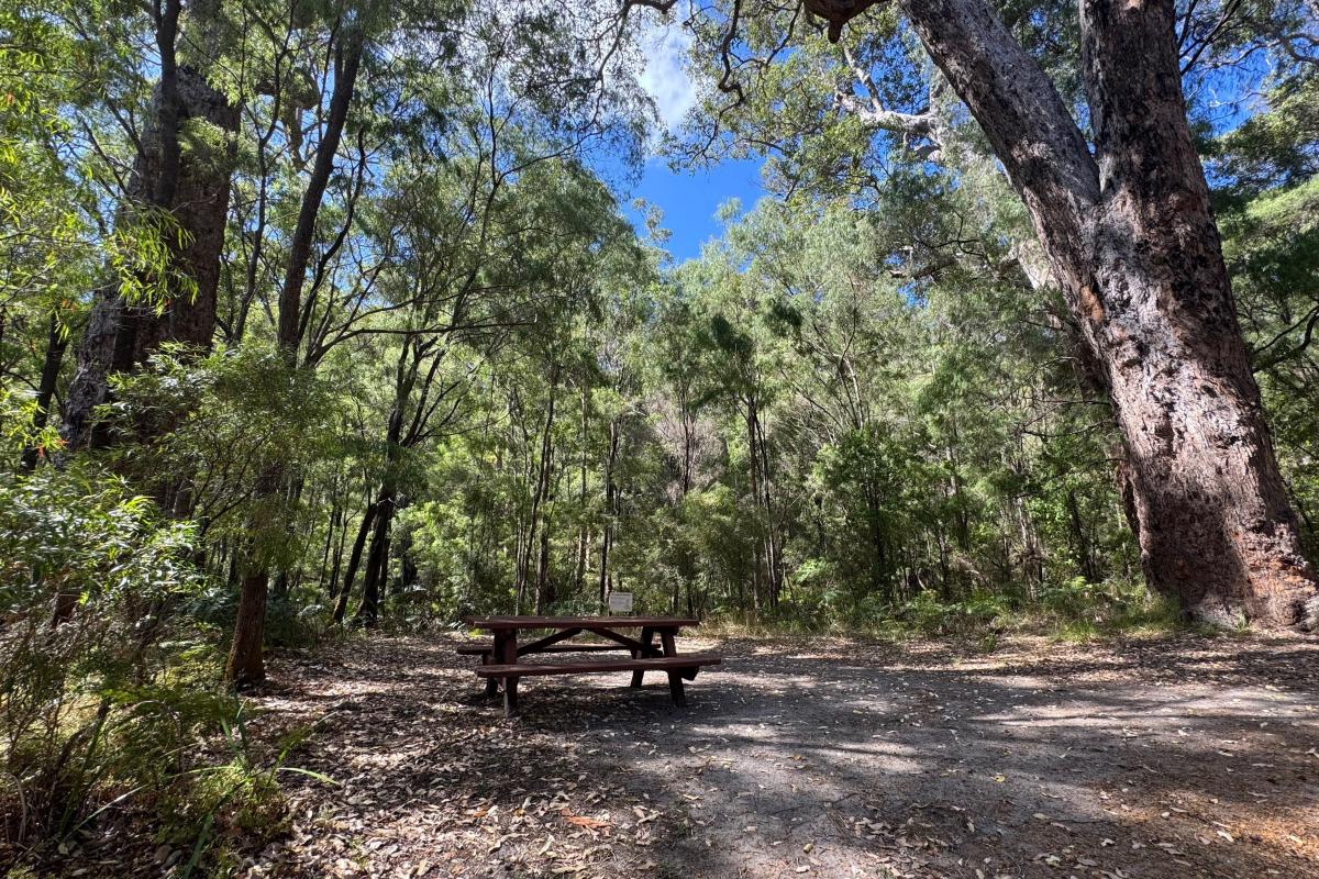 Picnic table under the trees at Maiden Bush