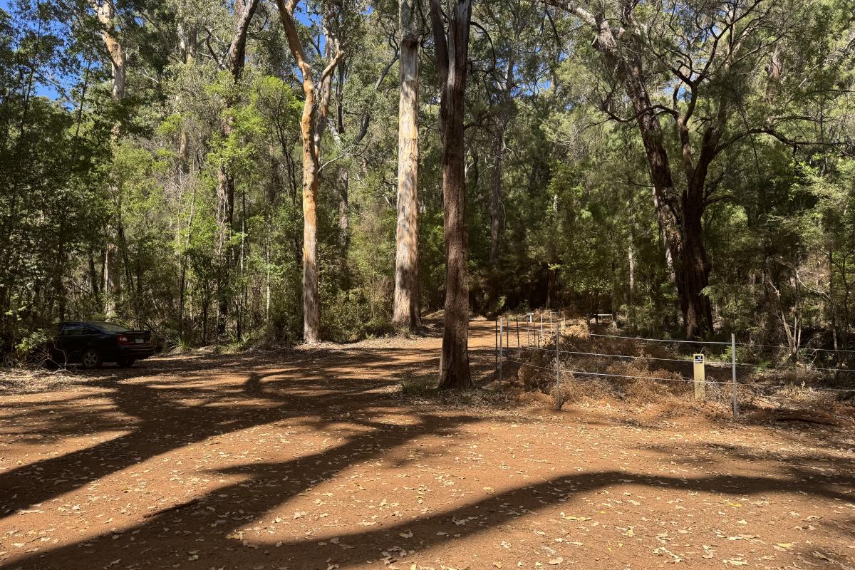 Parking area at Maiden Bush