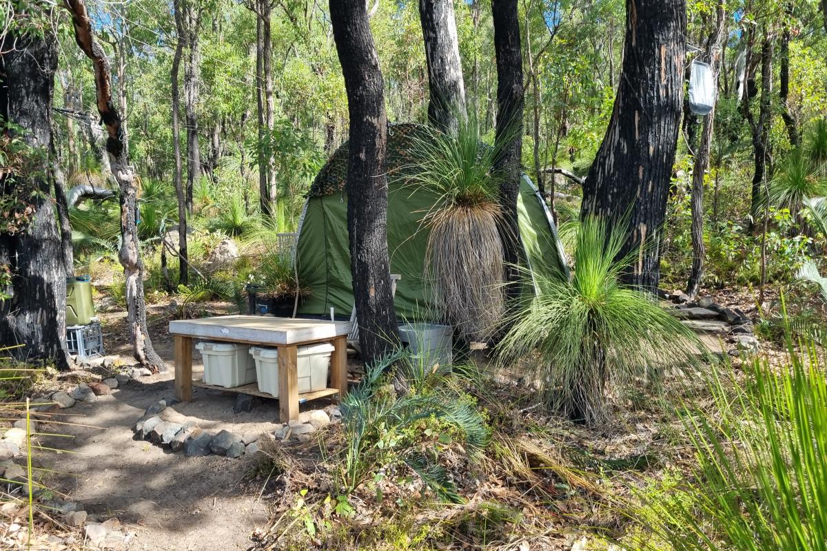 Closure of illegally built trails Tent and equipment set up in the bush where it is not a campsite