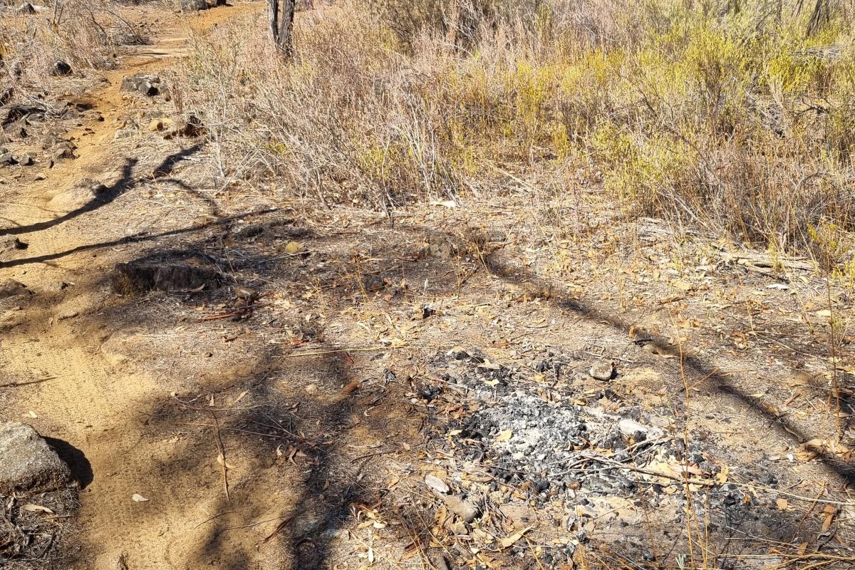 Closure of illegally built trails Charcoal and remains of a campfire on the side of an illegal trail.