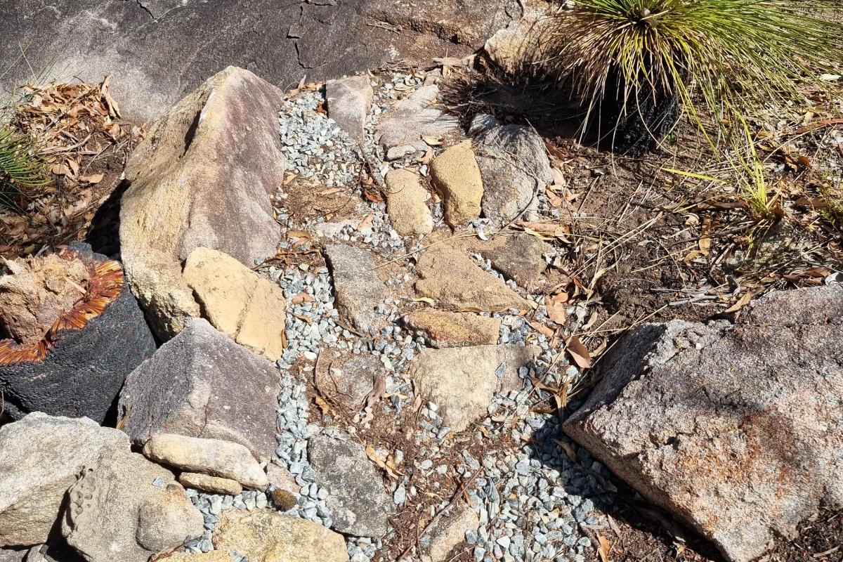 Closure of illegally built trails Closure of illegally built trails