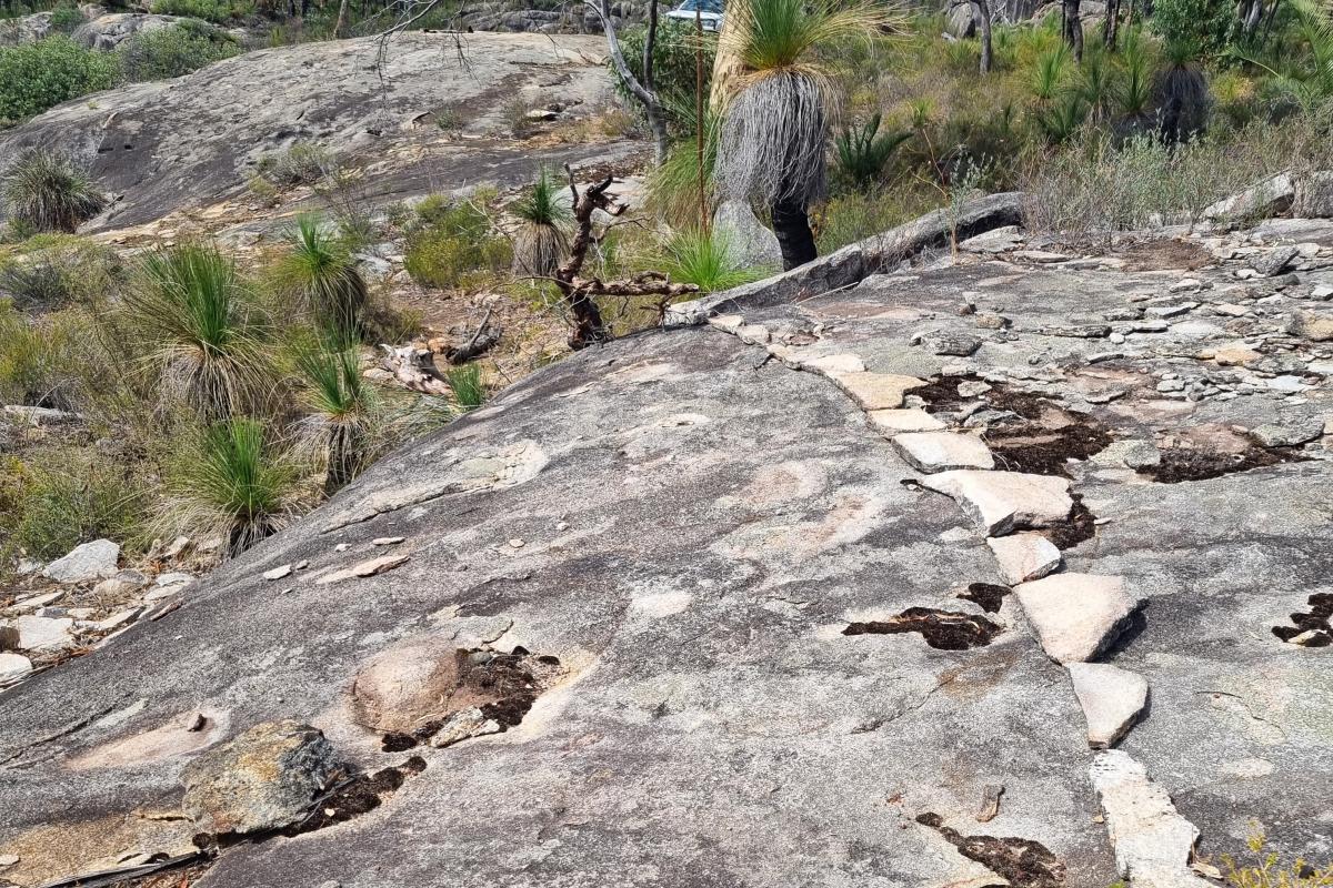 Closure of illegally built trails Rocks stacked to form a trail jump