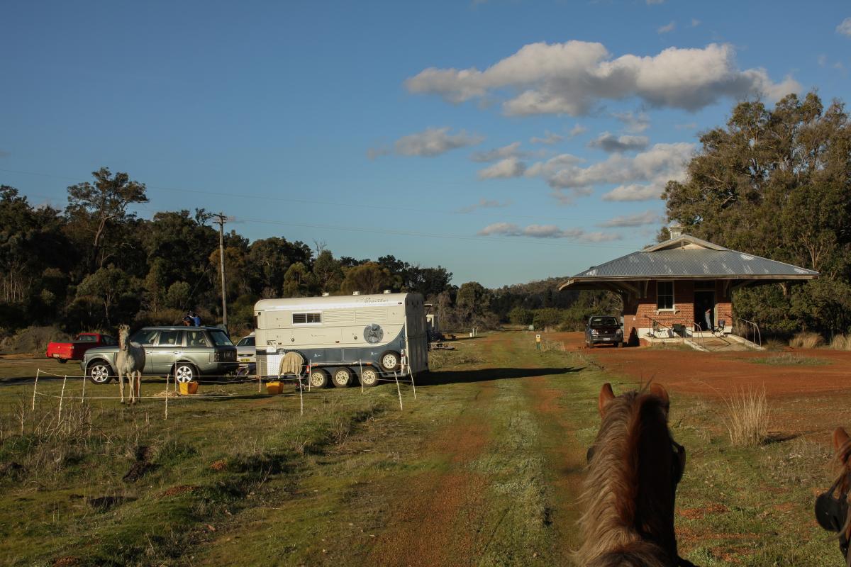 Collie Darkan Rail Trail View from the saddle riding on a trail.