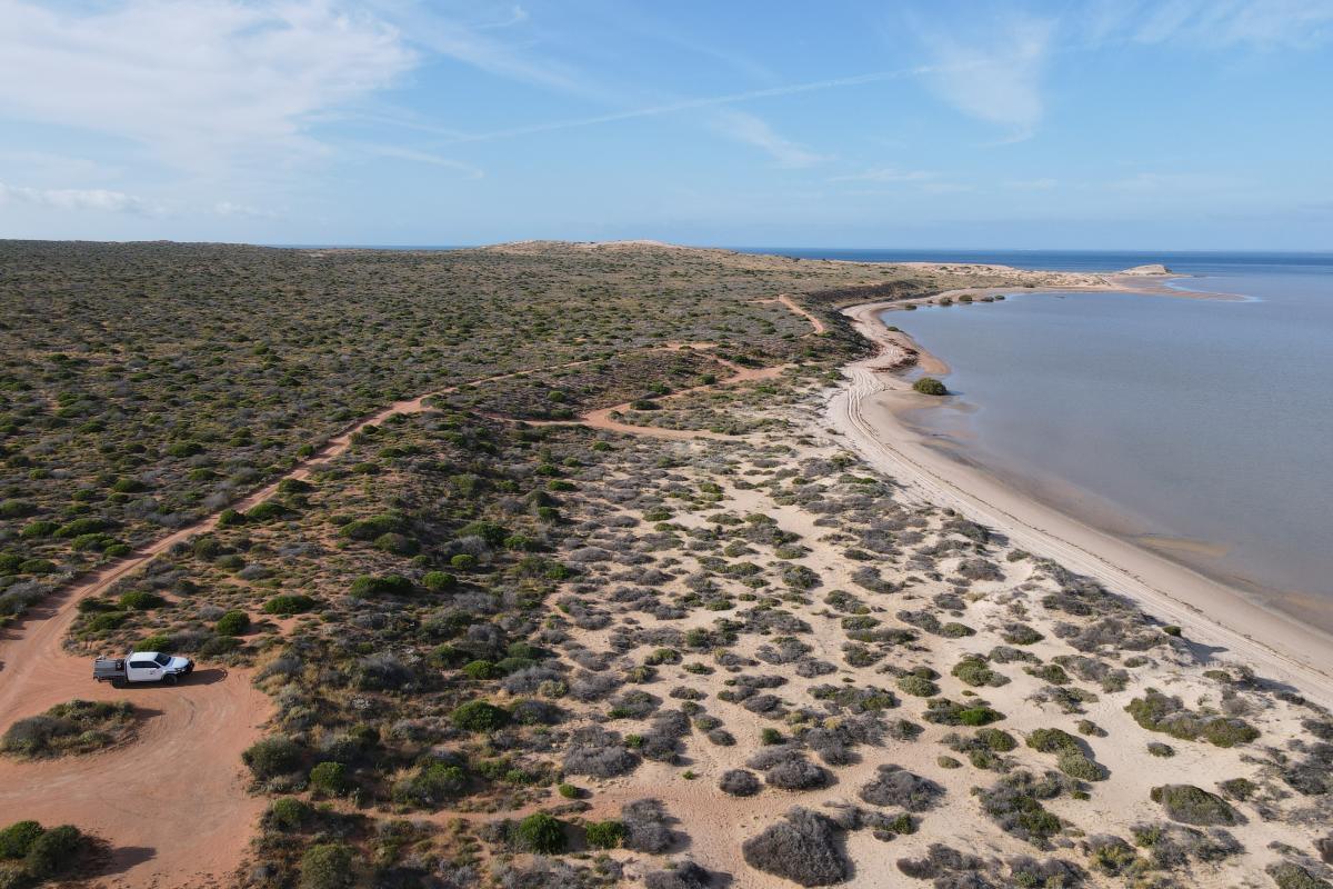 Aerial view of sandy campsite and tracks by the beach. 