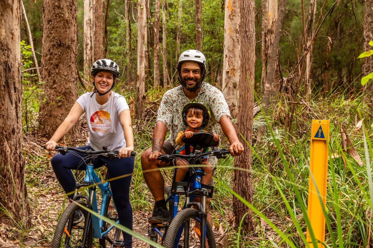 Two people on bikes on a trail in the forest. 