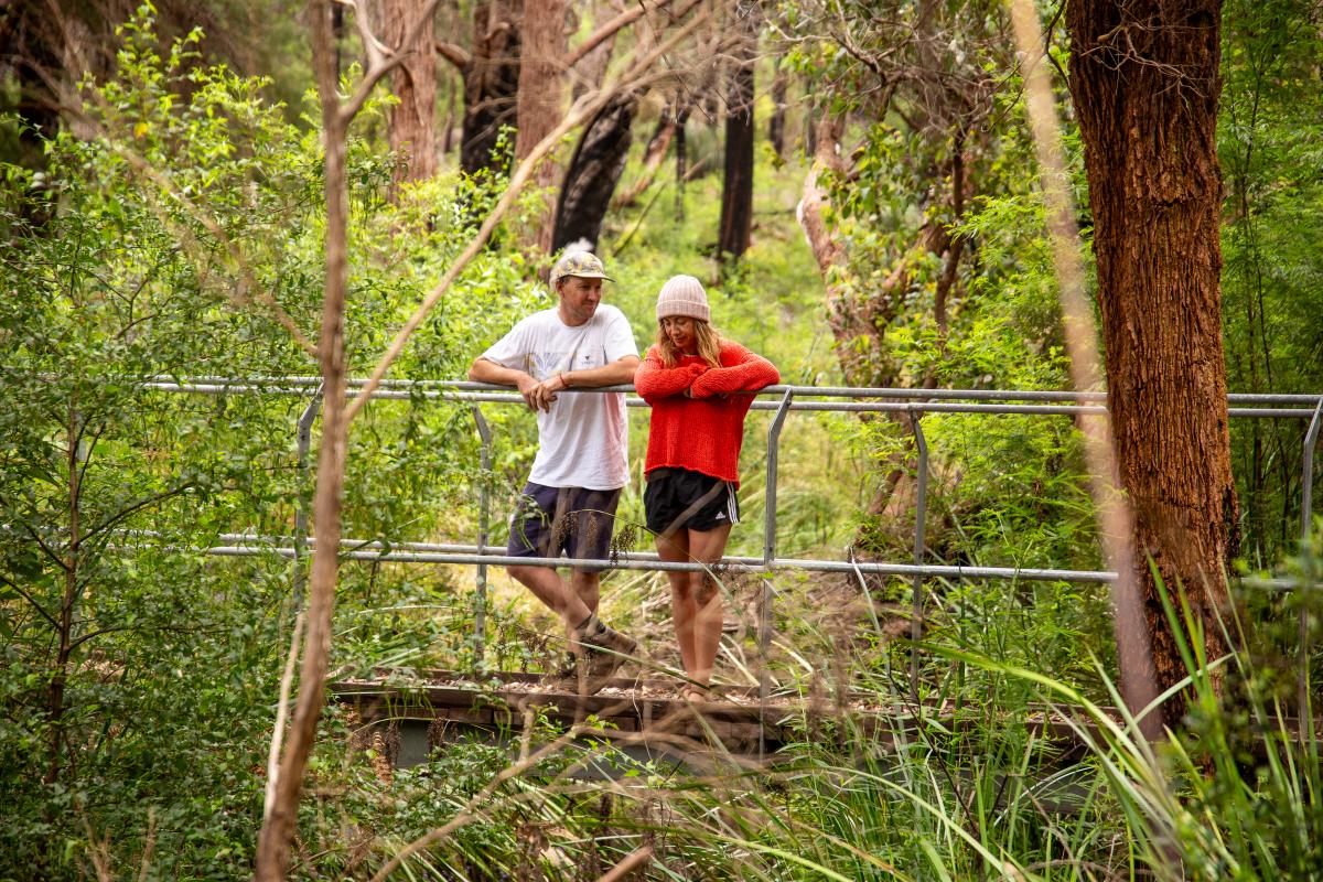 Two people standing on a bridge in the forest. 