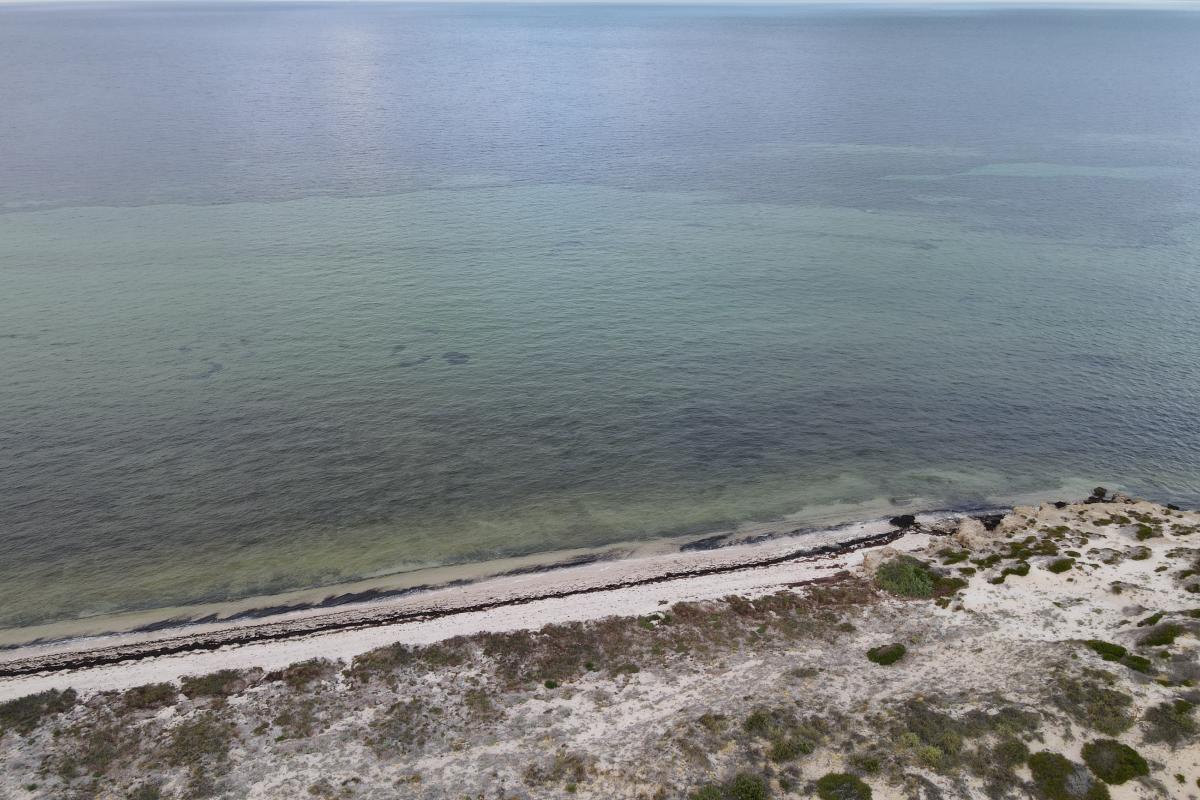 Aerial view of beach. 