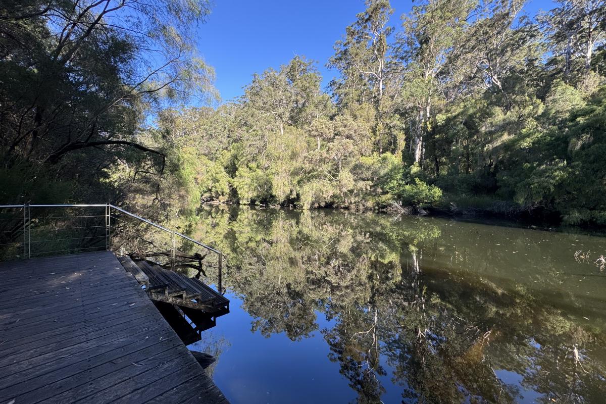 Warren River near Heartbreak Crossing at the picnic area Warren River near Heartbreak Crossing at the picnic area