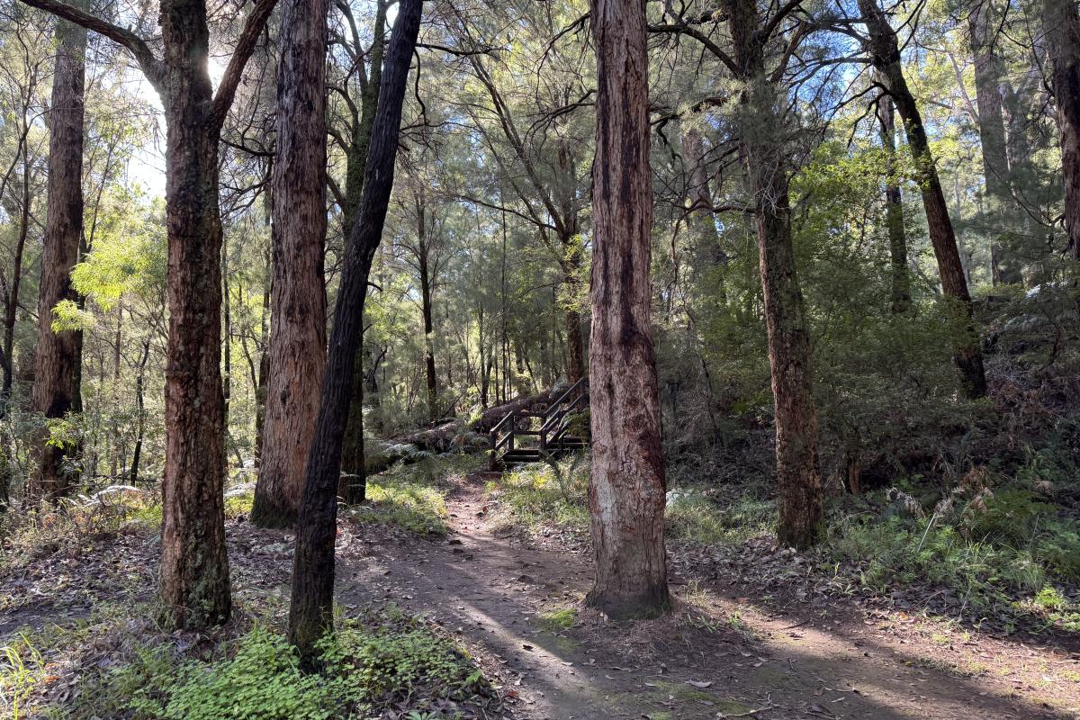 Steps down to Heartbreak Crossing Picnic Area Steps down to Heartbreak Crossing Picnic Area