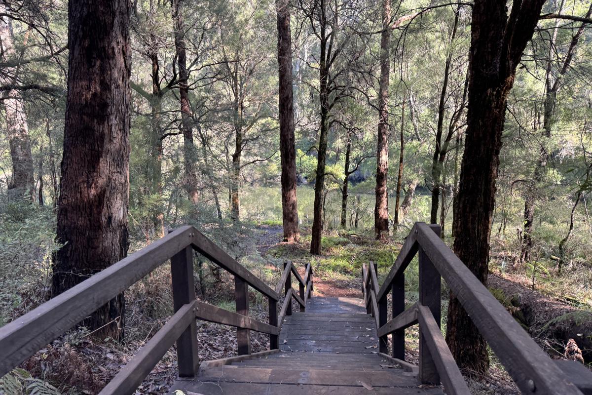 Steps from the parking area to the picnic spot and river bank at Heartbreak Crossing Steps from the parking area to the picnic spot and river bank at Heartbreak Crossing