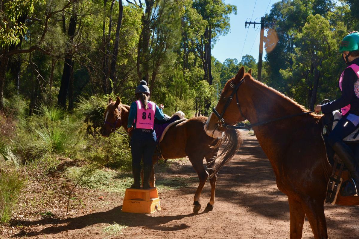 Jarrahdale Horse Trails Horse with riders on trail.