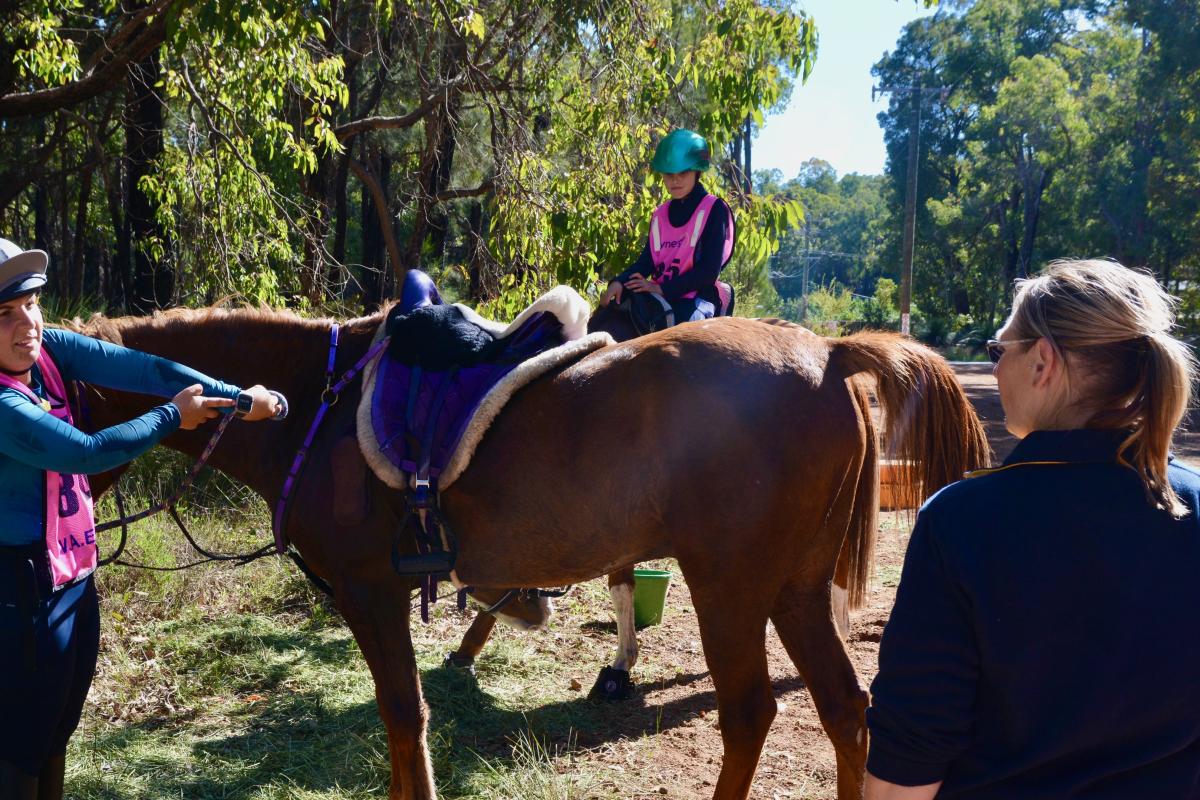 Jarrahdale Horse Trail People on horses on trail.