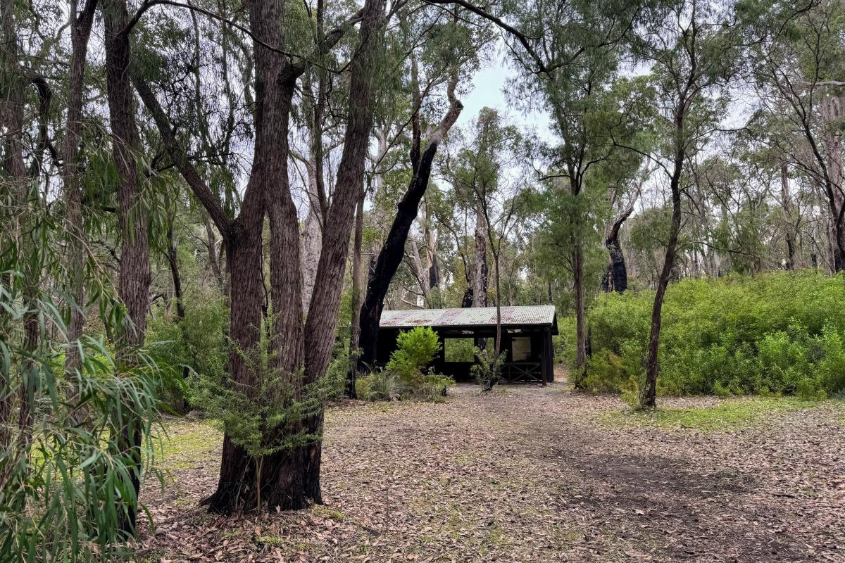 Leaning Marri Campground Leaning Marri Campground