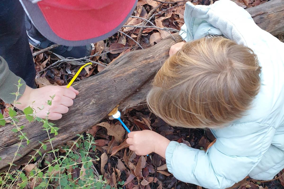 Children studying fungi up close. 