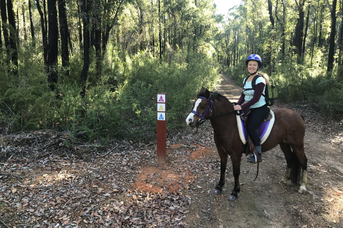 Shannon National Park Person riding horse on trail.