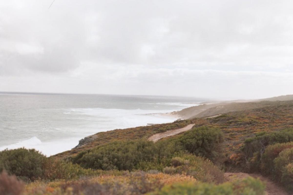 View of coastline.