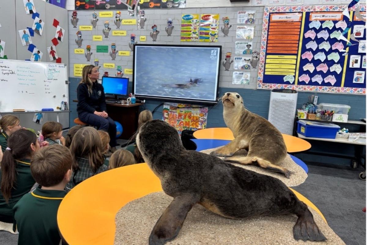 Person in front of students in a classroom. 