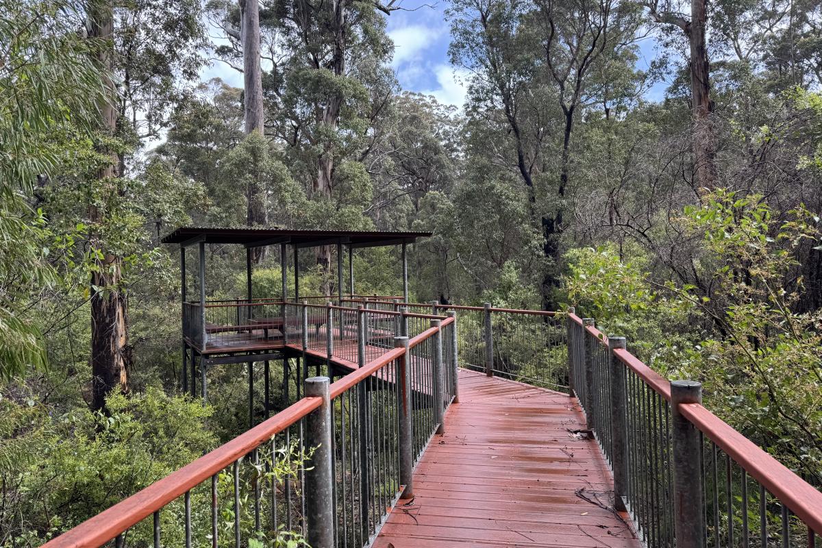 Lookout along the Lane Poole Falls walk trail in Boorara - Gardner National Park