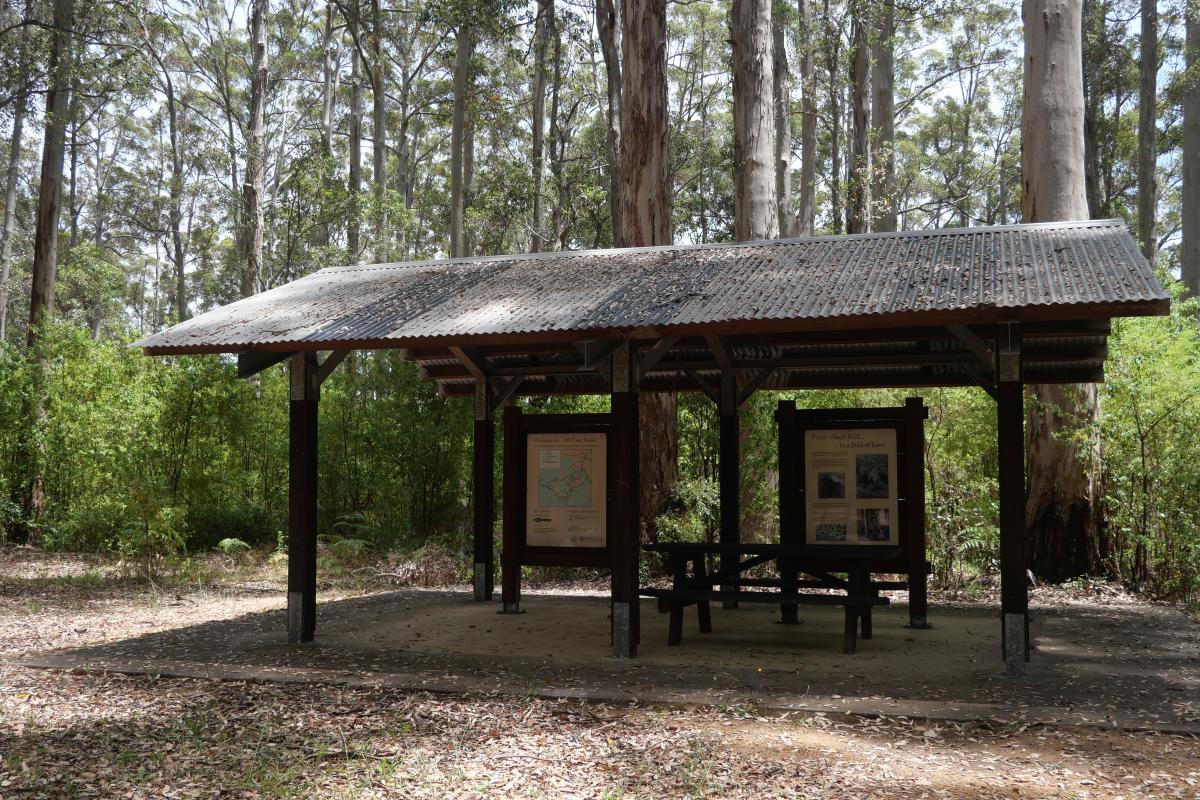 Shelter at the 100 Year Forest